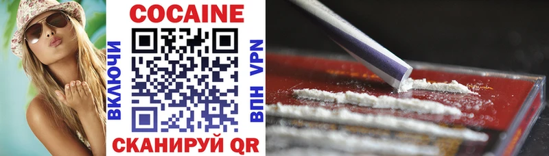 где найти Каргополь COCAIN 98%