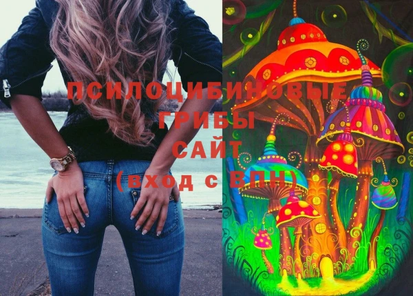 спиды Абаза