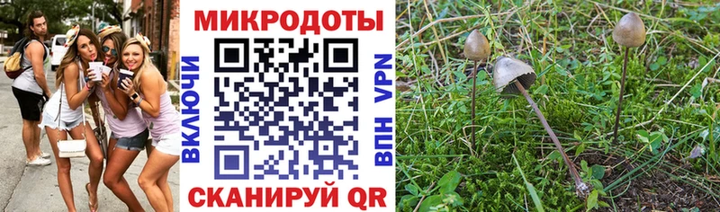Галлюциногенные грибы Magic Shrooms  mega маркетплейс  Каргополь  купить  цена 